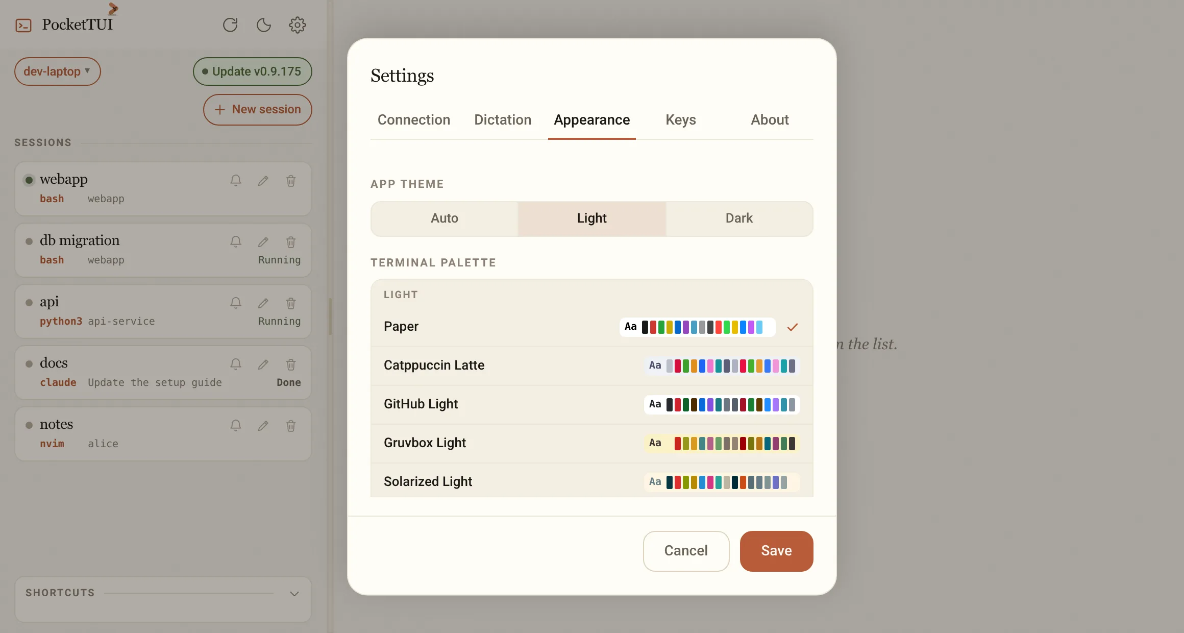 Settings, Appearance: app theme, terminal colour schemes and the box to paste your own.