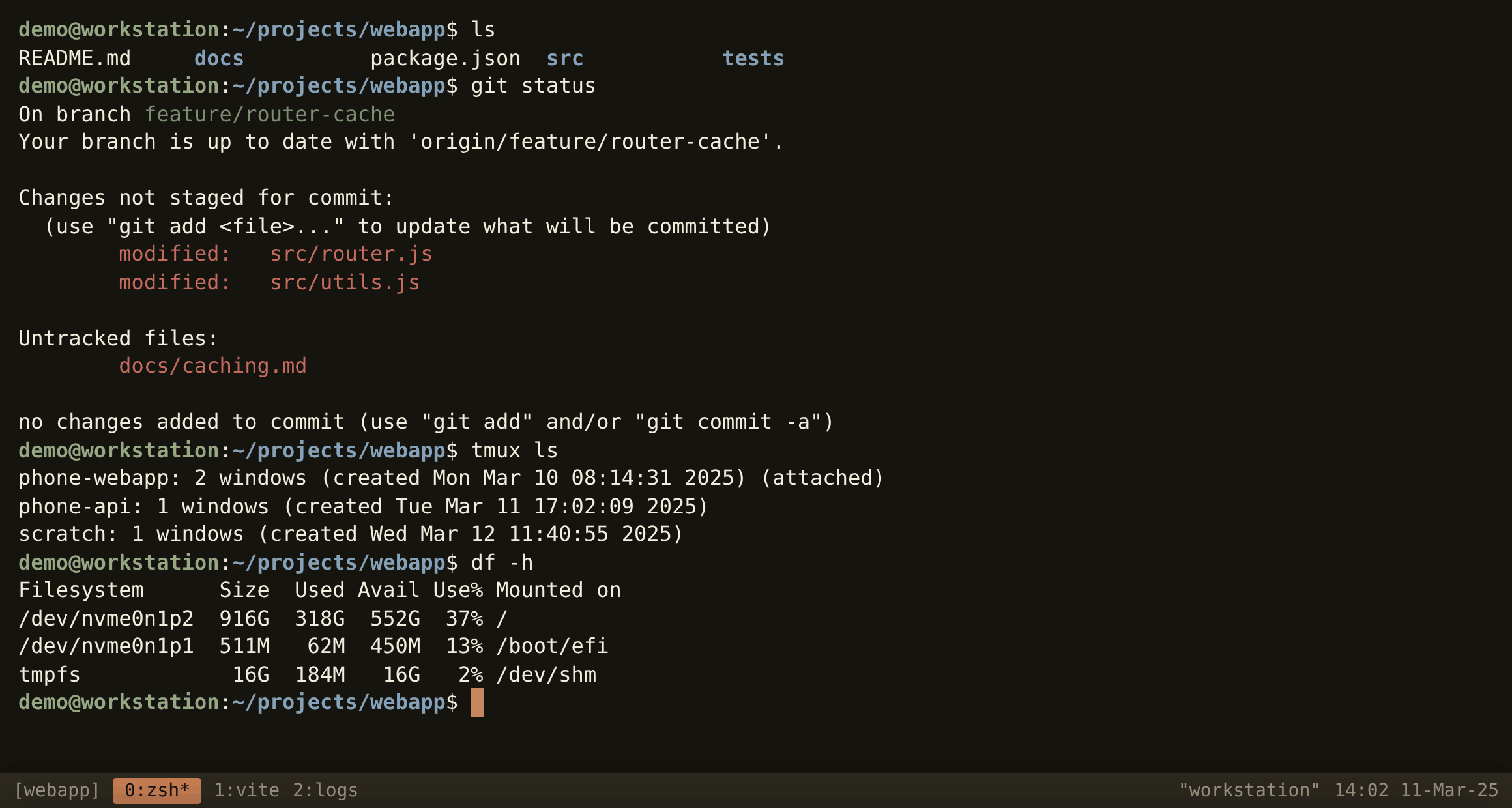 A tmux session in the terminal on a computer, running ls, git status and tmux ls.